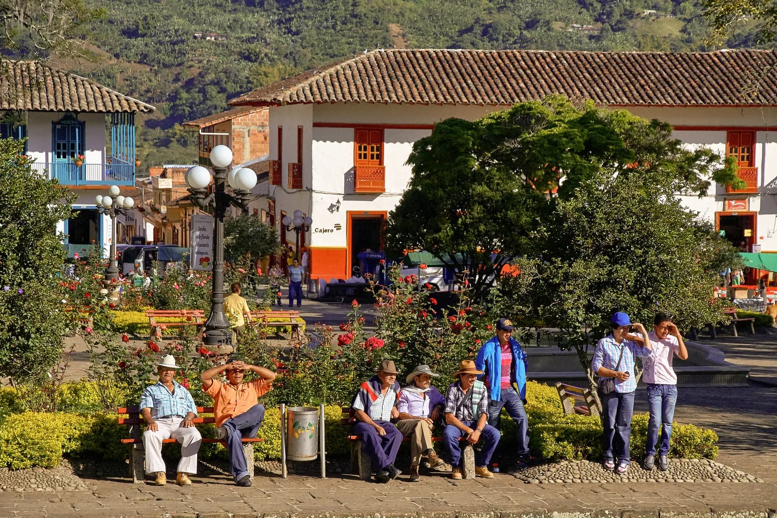 Jardin