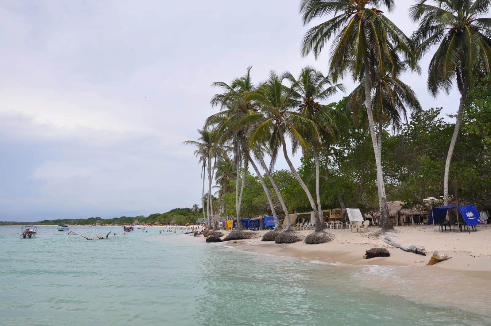 White sand, palm trees and shallow turquoise water at Playa Blanca near the Rosario Islands, Colombia